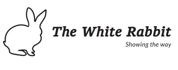 the white rabbit- APOYO - WEB PBP 2025 másgrande